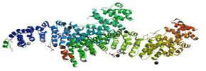 E-Cadherin-Protein